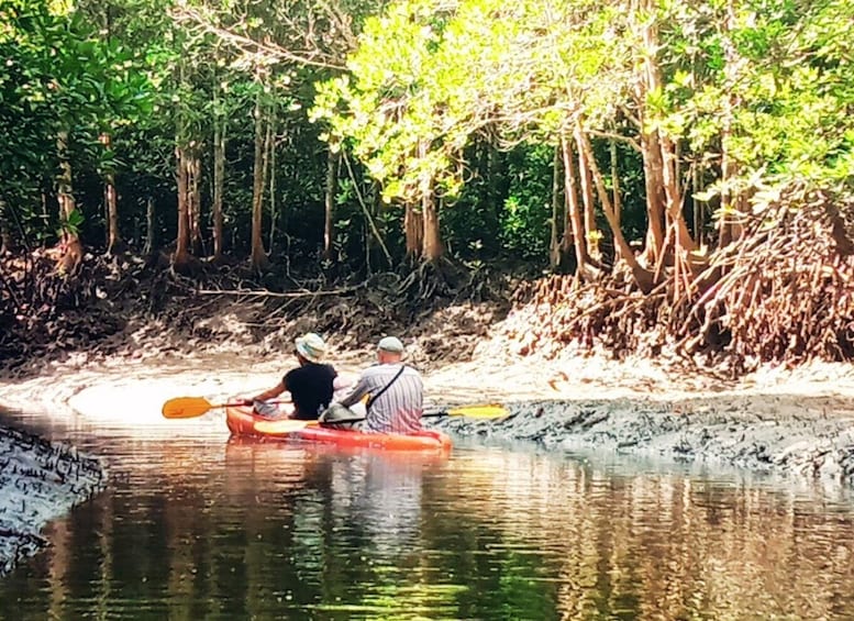 Picture 22 for Activity Ko Lanta: Mangrove Kayaking Half-Day Tour