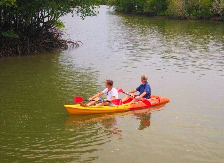 Picture 9 for Activity Ko Lanta: Mangrove Kayaking Half-Day Tour