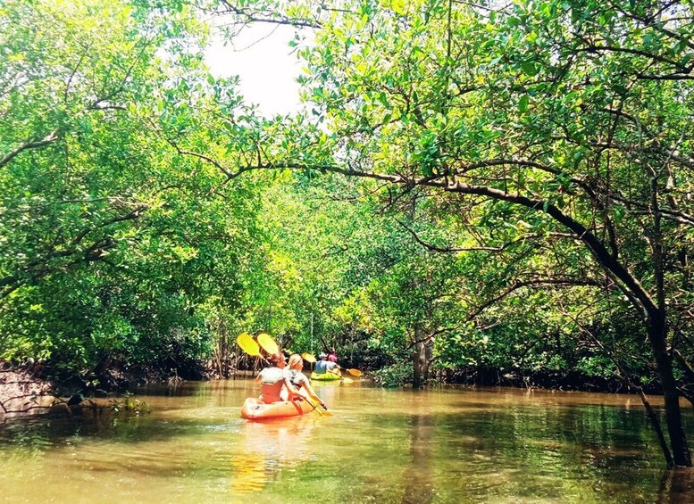 Picture 19 for Activity Ko Lanta: Mangrove Kayaking Half-Day Tour