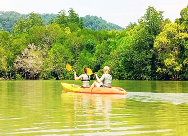 Ko Lanta: excursion d'une demi-journée en kayak dans la mangrove