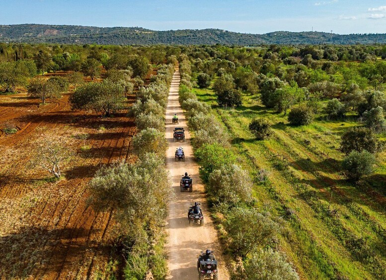 Picture 2 for Activity From Albufeira: Half-Day Off-Road Quad Tour