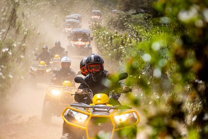 Dari Albufeira: Tur Quad Off-Road Setengah Hari