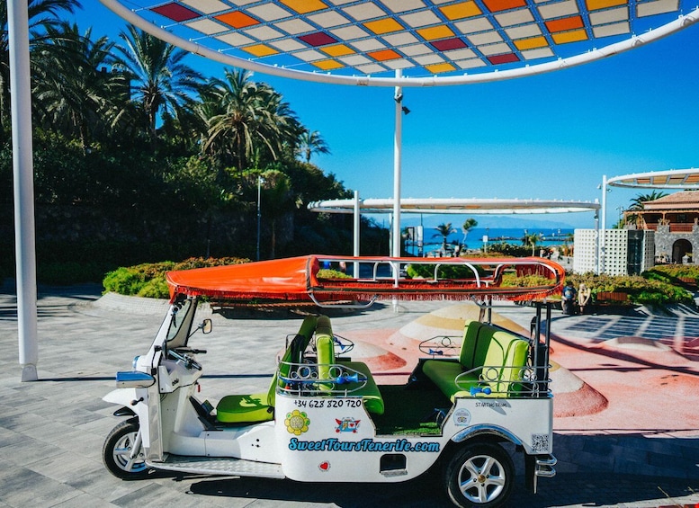 Picture 7 for Activity Costa Adeje: Tuk Tuk Tour