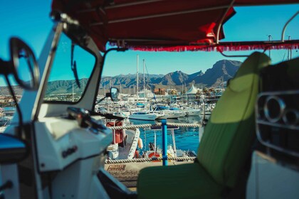 Costa Adeje : Tuk Tuk Tour