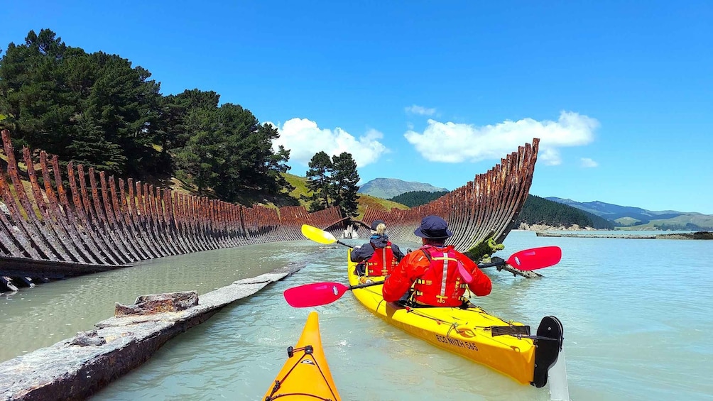 Picture 10 for Activity Christchurch: Sea Kayaking Tour of Lyttelton Harbour