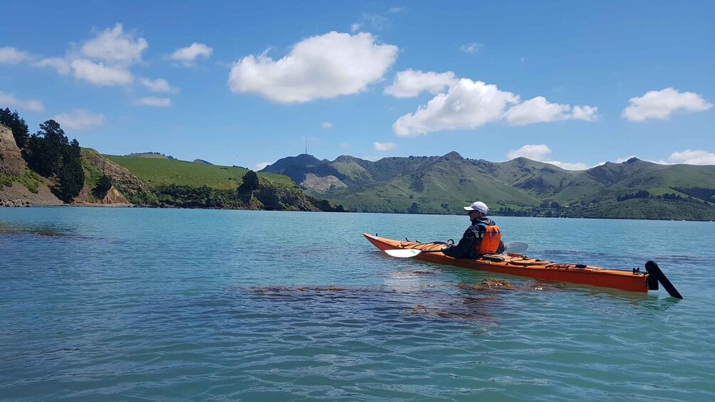 Picture 9 for Activity Christchurch: Sea Kayaking Tour of Lyttelton Harbour