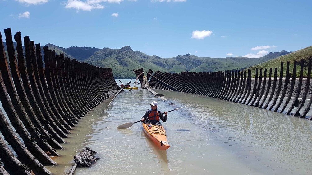 Picture 1 for Activity Christchurch: Sea Kayaking Tour of Lyttelton Harbour