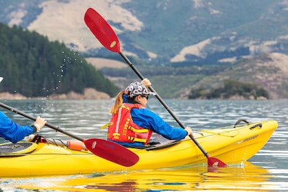 Christchurch: recorrido en kayak por el puerto de Lyttelton