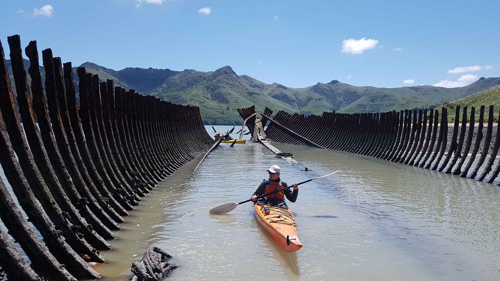 Picture 1 for Activity Christchurch: Sea Kayaking Tour of Lyttelton Harbour