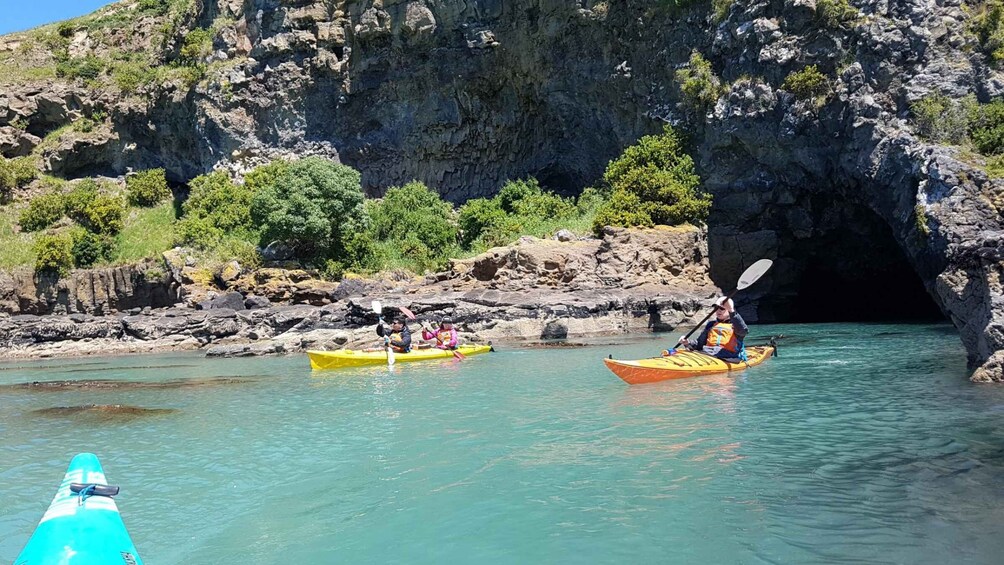 Picture 10 for Activity Christchurch: Sea Kayaking Excursion