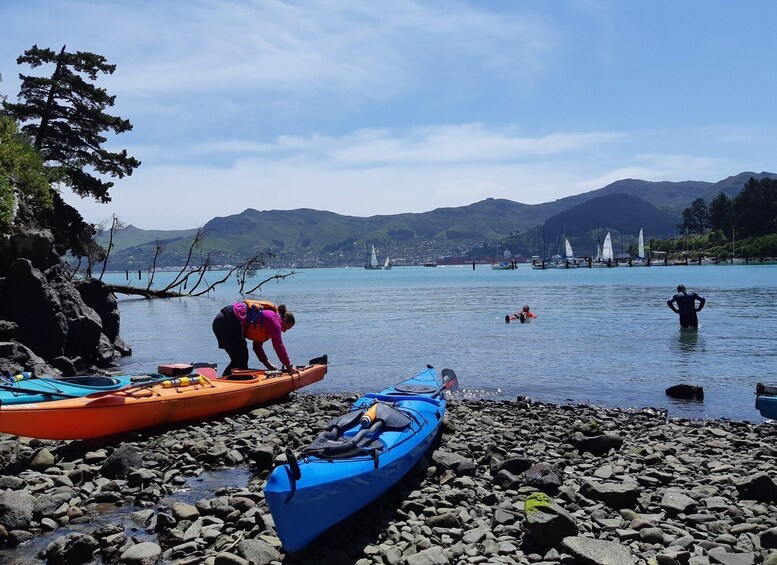 Picture 6 for Activity Christchurch: Sea Kayaking Tour of Lyttelton Harbour