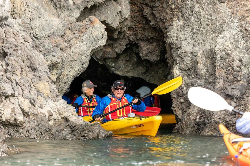 Picture 1 for Activity Christchurch: Sea Kayaking Tour of Lyttelton Harbour