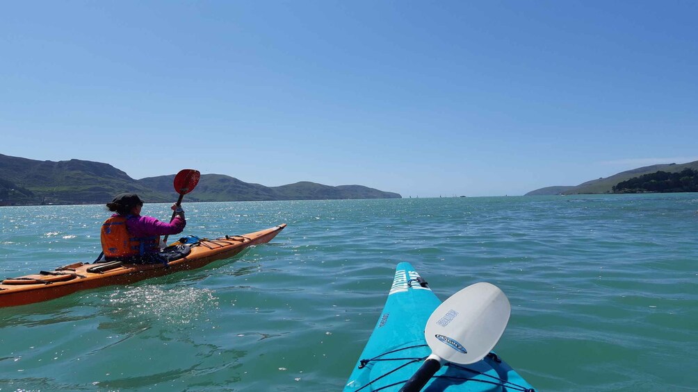 Picture 4 for Activity Christchurch: Sea Kayaking Tour of Lyttelton Harbour