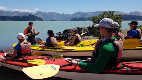 Christchurch: Sea Kayaking Excursion