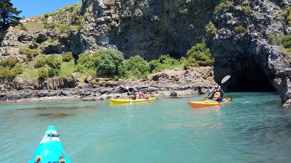 Picture 10 for Activity Christchurch: Sea Kayaking Tour of Lyttelton Harbour