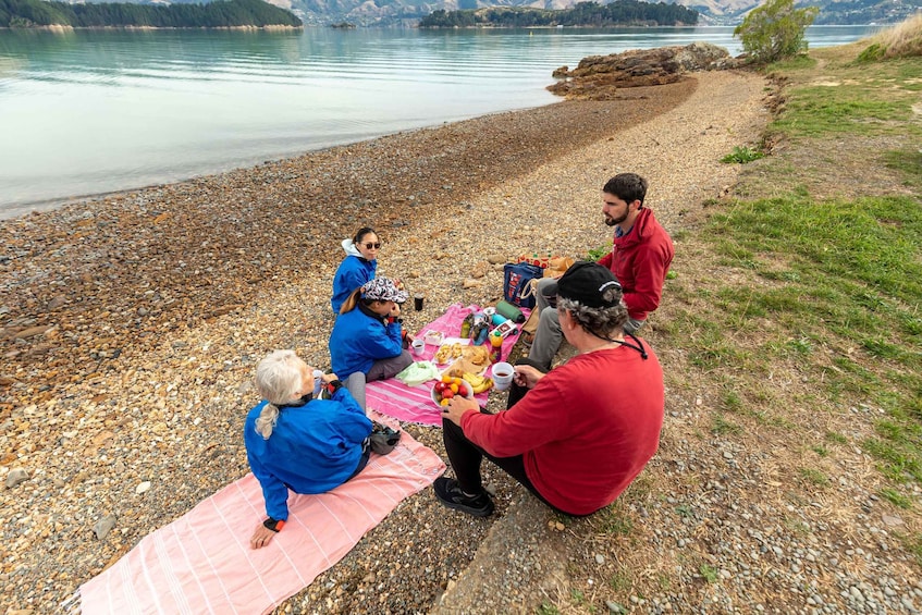 Picture 8 for Activity Christchurch: Sea Kayaking Tour of Lyttelton Harbour