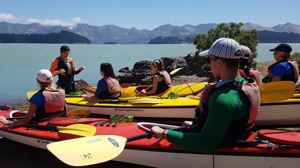 Christchurch: Sea Kayaking Tour of Lyttelton Harbour