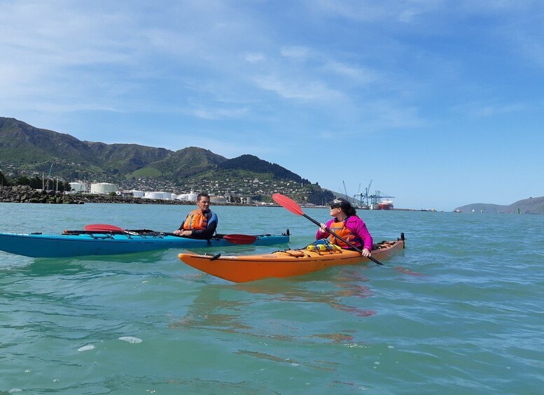 Picture 3 for Activity Christchurch: Sea Kayaking Tour of Lyttelton Harbour