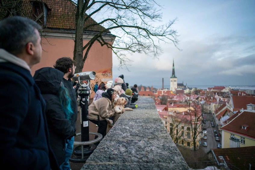 Tallinn: Old Town Walking Tour and Jägala Waterfall