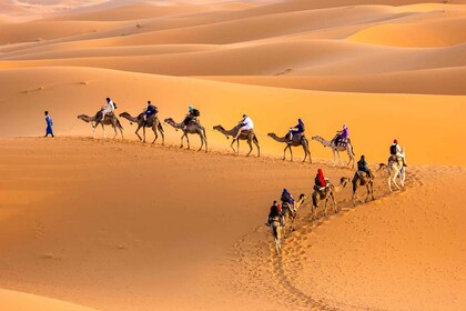 Douz 2-Day Sahara Desert Camel Trek