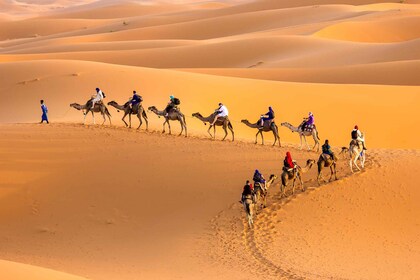 Caminata en camello por el desierto del Sahara de 2 días en Douz