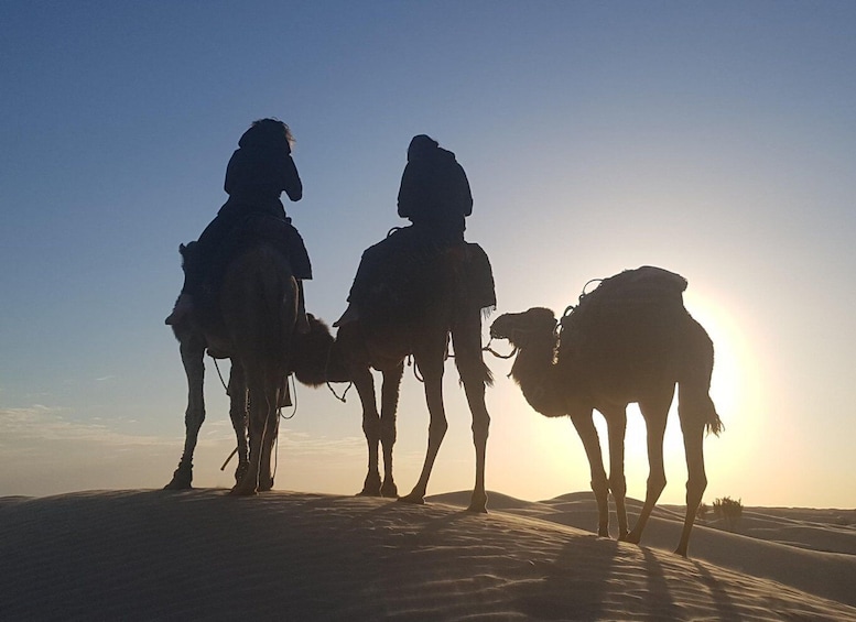 Picture 1 for Activity Douz 2-Day Sahara Desert Camel Trek