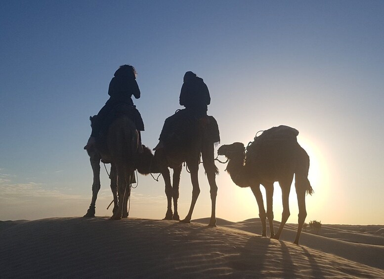 Picture 2 for Activity Douz 2-Day Sahara Desert Camel Trek