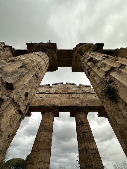 Picture 4 for Activity Paestum: Temples and Museum Tour with Archaeologist Guide
