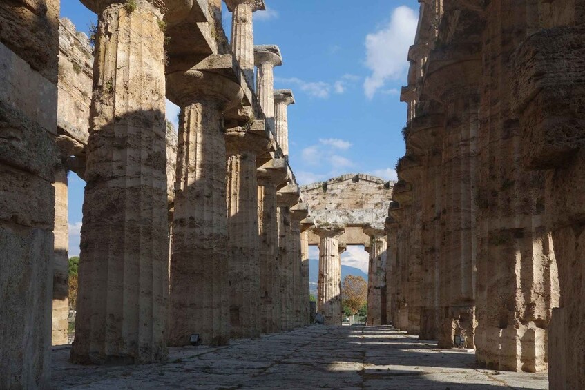 Picture 1 for Activity Paestum: Temples and Museum Tour with Archaeologist Guide