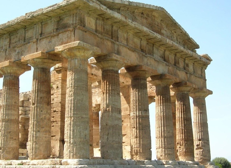Picture 3 for Activity Paestum: Temples and Museum Tour with Archaeologist Guide