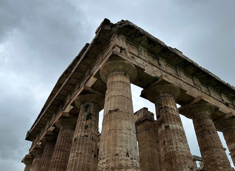 Picture 5 for Activity Paestum: Temples and Museum Tour with Archaeologist Guide