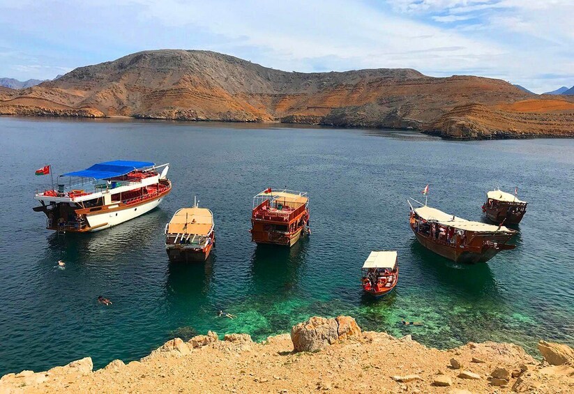 Picture 5 for Activity From Khasab: Half day Snorkeling tour with Dolphin Watching