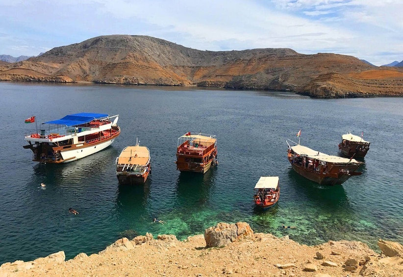 Picture 4 for Activity From Khasab: Half day Snorkeling tour with Dolphin Watching