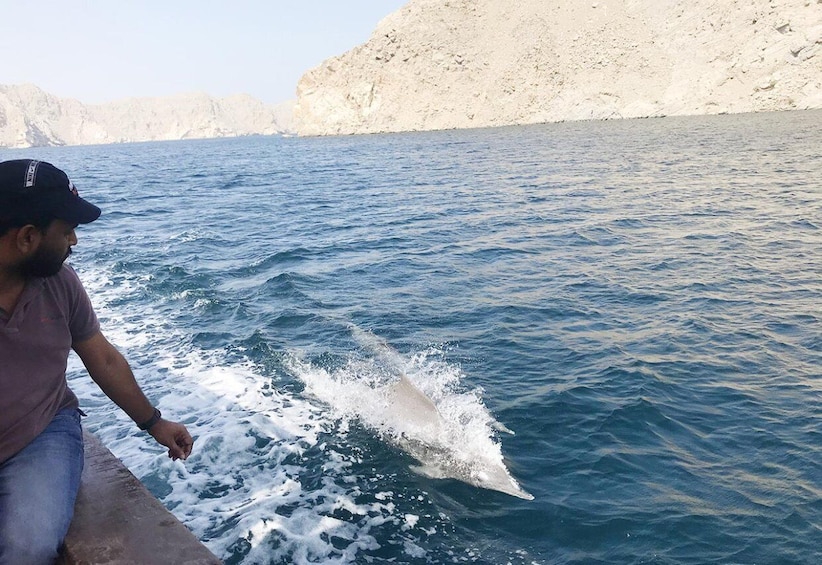 Picture 2 for Activity From Khasab: Half day Snorkeling tour with Dolphin Watching