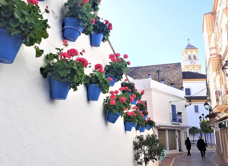 Picture 9 for Activity From Malaga: Private Tour in Marbella