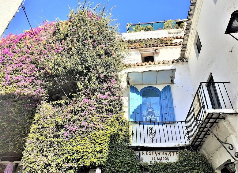Picture 7 for Activity From Malaga: Private Tour in Marbella