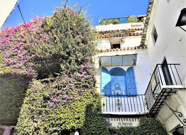 Picture 7 for Activity From Malaga: Private Tour in Marbella