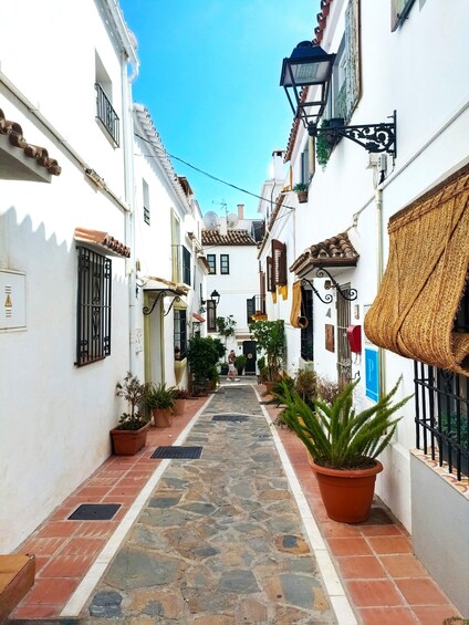 Picture 4 for Activity From Malaga: Private Tour in Marbella