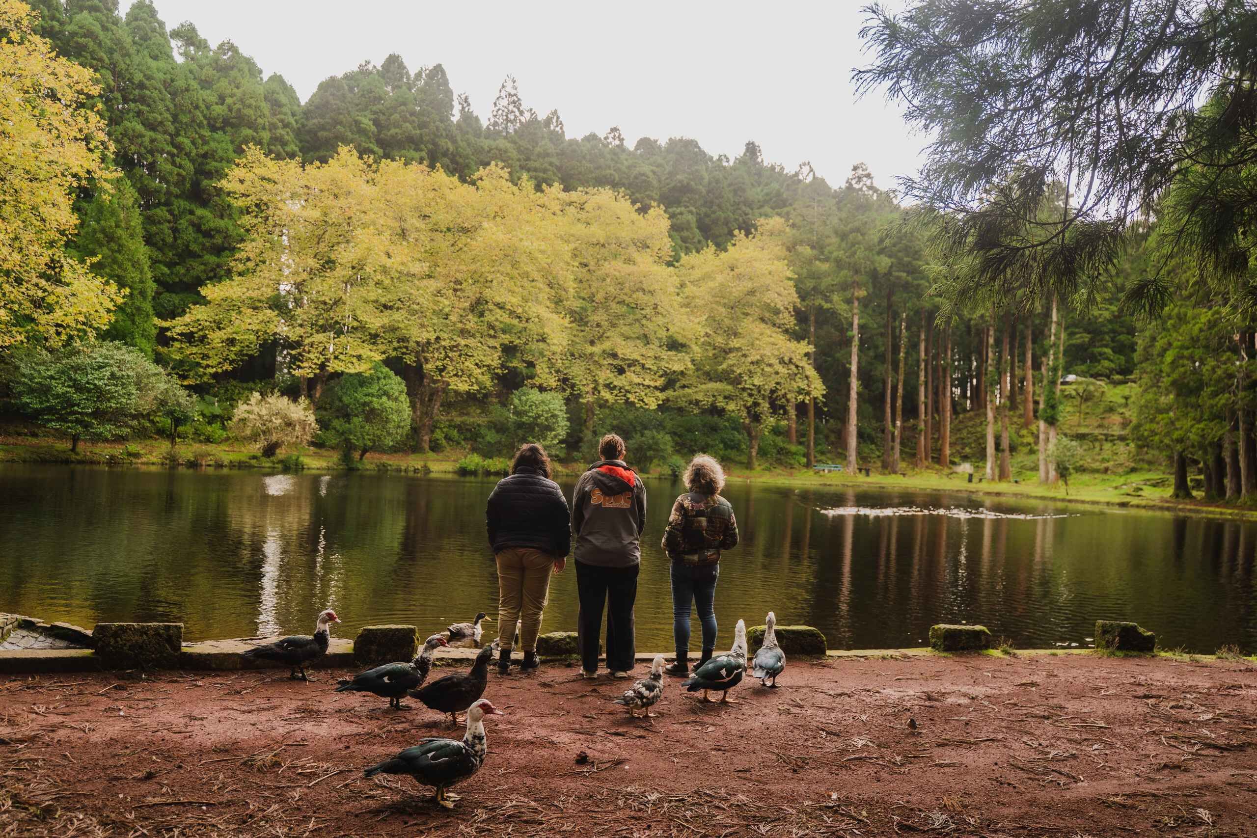 From Angra: Terceira Island Half-Day Tour