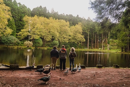 从安格拉出发：特塞拉岛半日游（共享游）