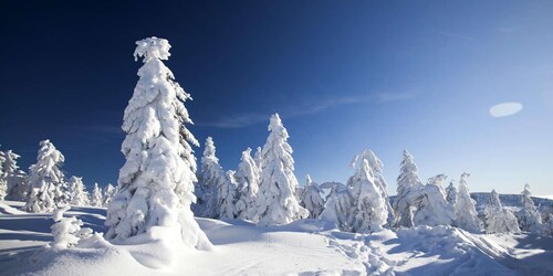 Rovaniemi: Snøscootersafari