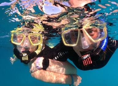 Teneriffa: Halvdagstur med snorkling