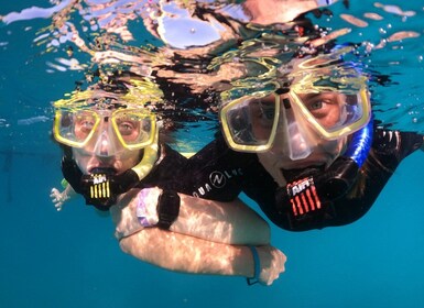 Tenerife : Excursion de plongée en apnée d’une demi-journée