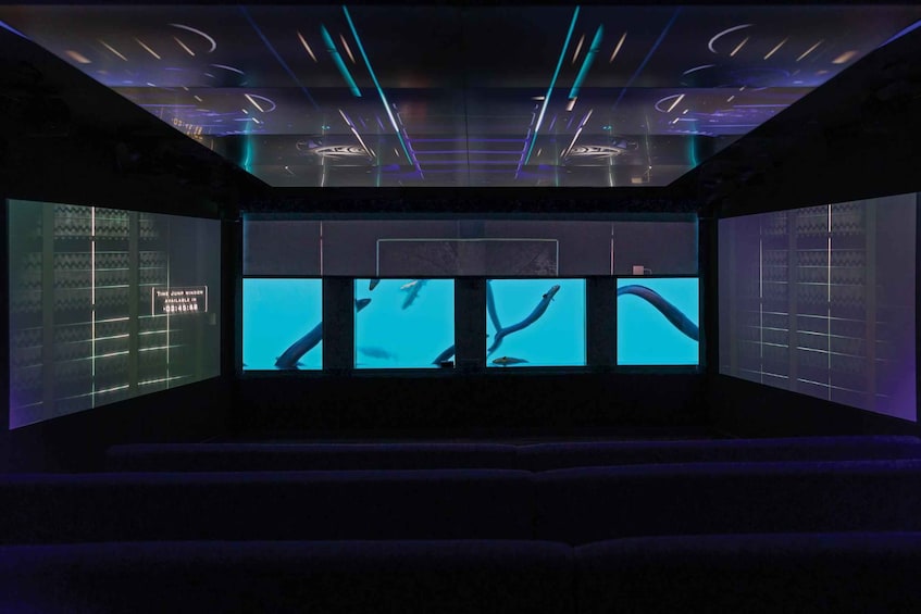 Queenstown: Time Tripper Underwater Theatre