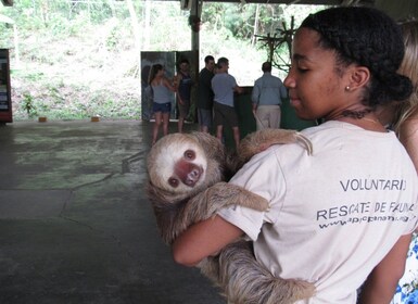 Panama : L'île aux singes, le sanctuaire des paresseux excursion et le cana...