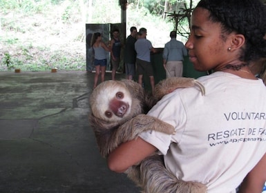 Fra Panama City: Monkey Island og Sloth Sanctuary-tur