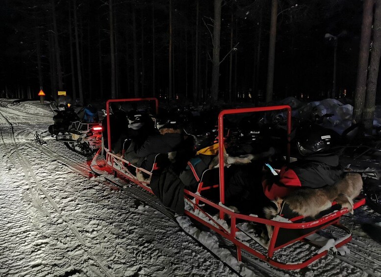 Picture 6 for Activity Rovaniemi: Northern Lights Sledge Ride