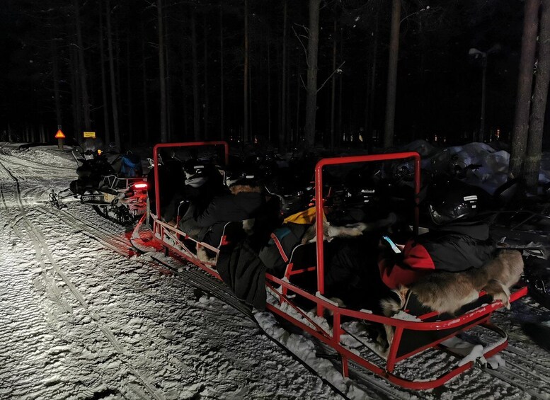Picture 6 for Activity Rovaniemi: Northern Lights Sledge Ride