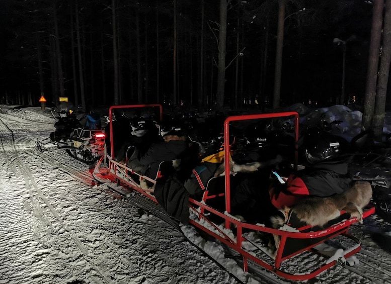 Picture 6 for Activity Rovaniemi: Northern Lights Sledge Ride