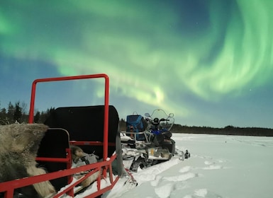 Rovaniemi: Paseo en trineo por la aurora boreal